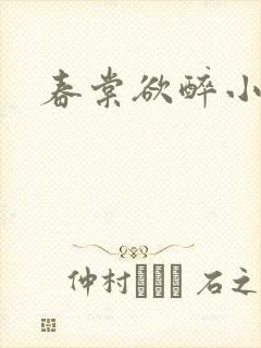 春棠欲醉小说封面