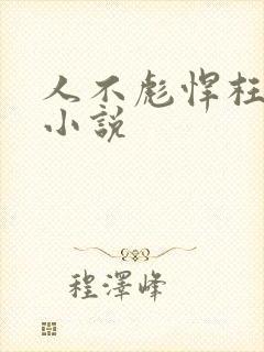 人不彪悍枉少年小说