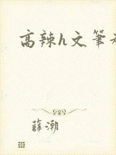 高辣h文笔趣阁