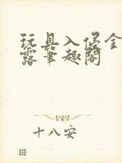 玩具入侵金银花露笔趣阁