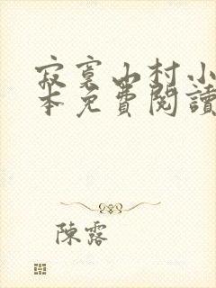 寂寞山村小说全本免费阅读封面