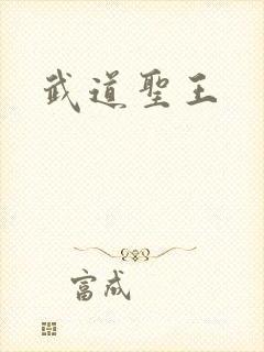 武道圣王封面