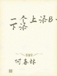 一个上添B一个下添