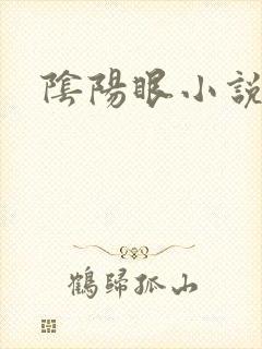 阴阳眼小说