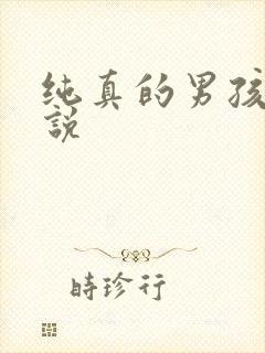 纯真的男孩子小说