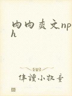 肉肉爽文np高h