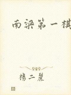 南梁第一棋手封面