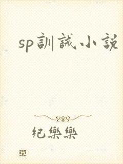 sp训诫小说封面