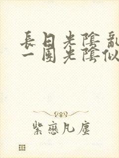 长日光阴 乱作一团光阴似箭封面