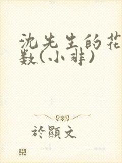 沈先生的花式调数(小非)