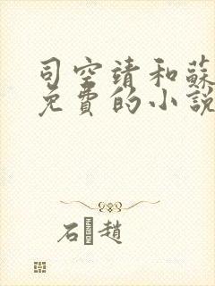 司空靖和苏月汐免费的小说笔趣阁