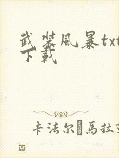 武装风暴txt下载