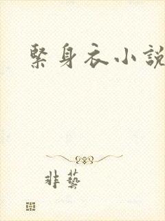 紧身衣小说