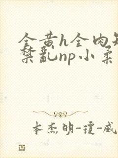 全黄h全肉短篇禁乱np小柔封面