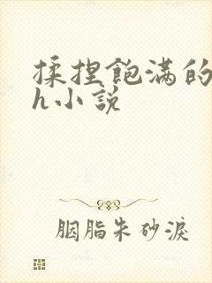 揉捏饱满的双乳h小说封面