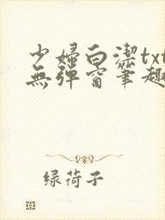 少妇白洁txt无弹窗笔趣阁