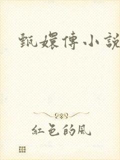 甄嬛传小说封面