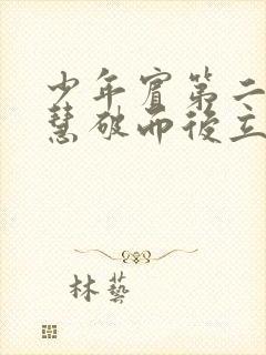 少年宾第二部珏慧破而后立封面