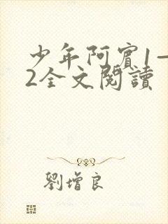 少年阿宾1—72全文阅读