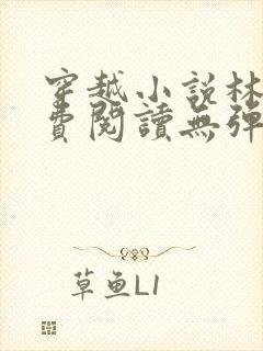 穿越小说林丰免费阅读无弹窗