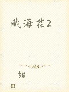 藏海花2