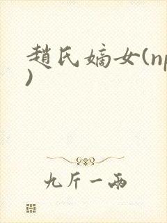 赵氏嫡女(np)