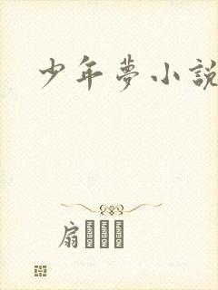 少年梦小说