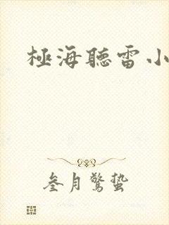 极海听雷小说封面