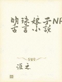 明珠娘子NPC古言小说