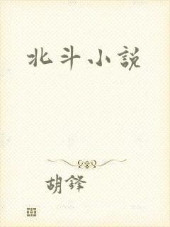 北斗小说