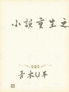 小说重生之官道