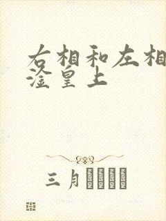 右相和左相一起淦皇上封面