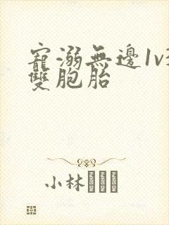 宠溺无边1v3双胞胎封面