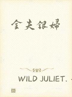 金夫银妇封面
