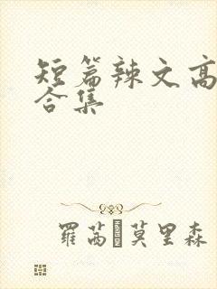 短篇辣文高h文合集