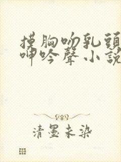 摸胸吻乳头情事呻吟声小说