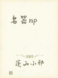 名器np