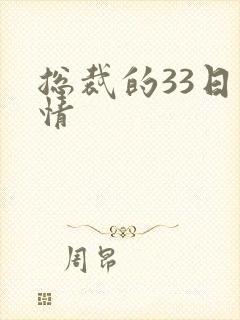 总裁的33日索情