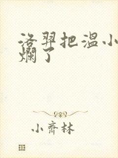 洛羿把温小辉做烂了封面