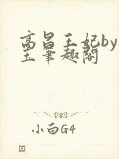 高昌王妃by黛玉笔趣阁