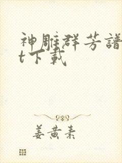 神雕群芳谱txt下载