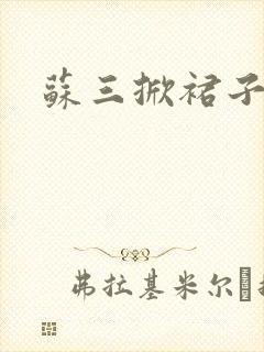 苏三掀裙子封面