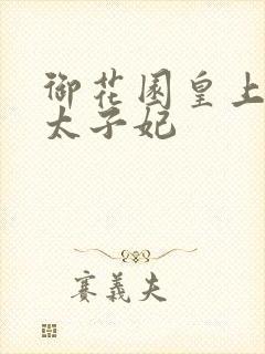 御花园皇上撞着太子妃