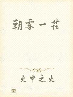朝雾一花封面