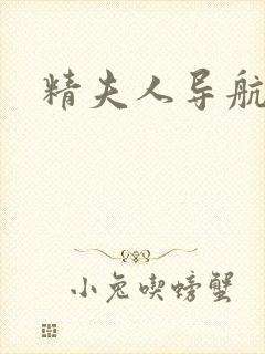 精夫人导航封面