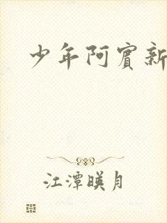少年阿宾新崛江
