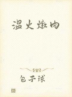 温火炖肉