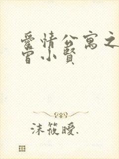 爱情公寓之极品曾小贤