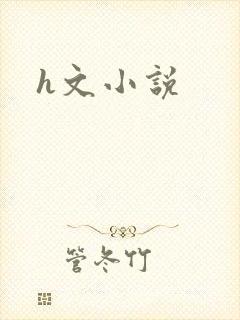 h文小说