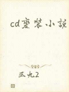 cd变装小说